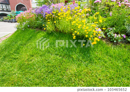 《神戶市》山中植物園布引藥草園/ 103465652