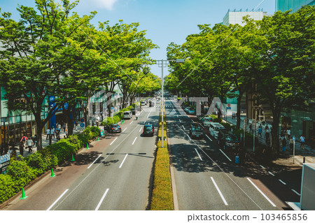 初夏東京表參道主幹道鳥瞰圖 2023.05 b-5 電影風 103465856