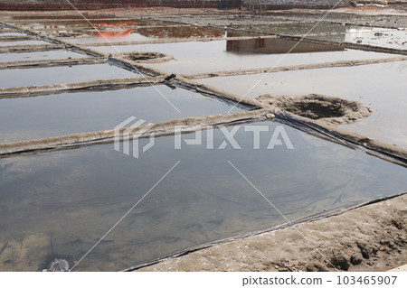 raw salt farm plot with water and polythene bed 103465907