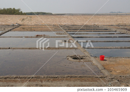 raw salt farm plot with water and polythene bed 103465909