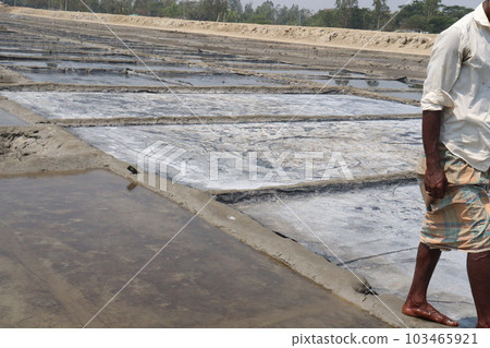 raw salt farm plot with water and polythene bed raw salt farm plot with water and polythene bed 103465921
