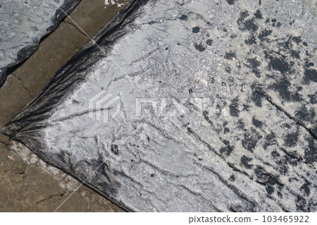 raw salt farm plot with water and polythene bed raw salt farm plot with water and polythene bed 103465922