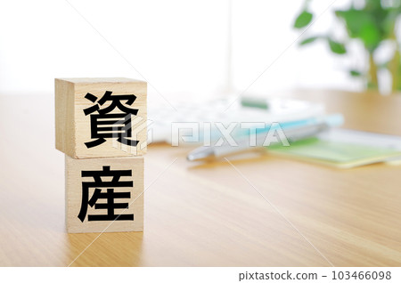 資產字符塊 103466098
