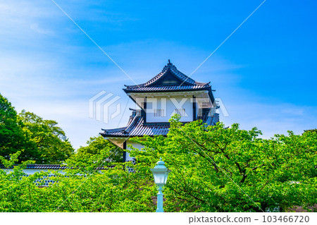 Fresh green Kanazawa Castle Park Ishikawa Turret Fresh green Kanazawa Castle Park Ishikawa Turret 103466720