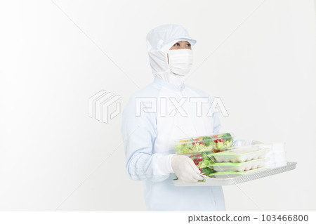 一個穿著防護服的男人帶著食物 103466800
