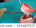 dental instruments ready for use in the dental office 103467037