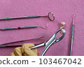 dental instruments ready for use in the dental office 103467042