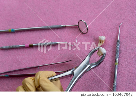 dental instruments ready for use in the dental office 103467042
