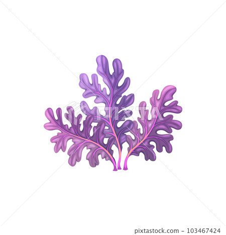 Cartoon underwater carrageenan moss seaweed plant. Aquarium and sea algae. Aquarium marine plant, tropical sea aquatic flora or ocean underwater deep weed, coral reef isolated vector undersea algae 103467424