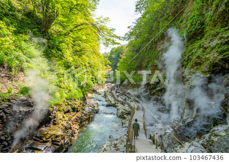 Oyasukyo Great Fountain Spring Fresh Green Oyasukyo Great Fountain Spring Fresh Green 103467436