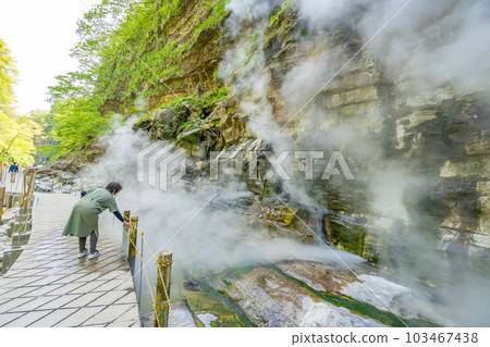 Oyasukyo 大噴泉 春天的新綠 103467438