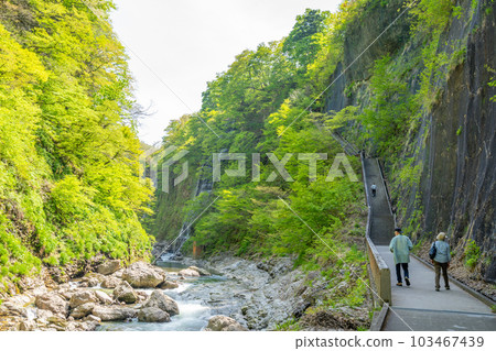 Oyasukyo 大噴泉 春天的新綠 Oyasukyo 大噴泉 春天的新綠 103467439