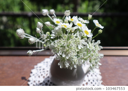 Arrange the white flowers of the garden on the windowsill 103467553