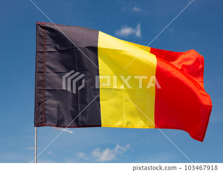 Flag of Belgium waving on cloudy sky during daytime Flag of Belgium waving on cloudy sky during daytime 103467918