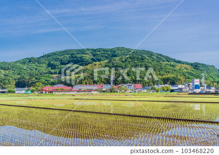[靜岡縣] Tanna盆地的水稻種植後的稻田和乳製品王國的Oratche 103468220