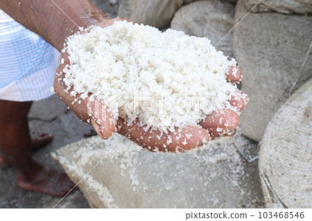 raw salt on hand on farm raw salt on hand on farm 103468546