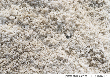 raw salt farm on plot with polythene bed raw salt farm on plot with polythene bed 103468716