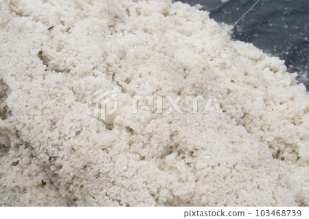 raw salt farm on plot with polythene bed raw salt farm on plot with polythene bed 103468739