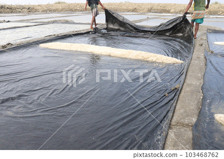 raw salt farm on plot with polythene bed raw salt farm on plot with polythene bed 103468762