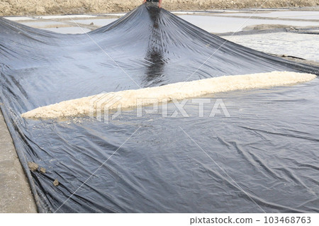 raw salt farm on plot with polythene bed 103468763