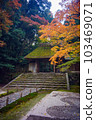 Kyoto Honen-in Autumn 103469071