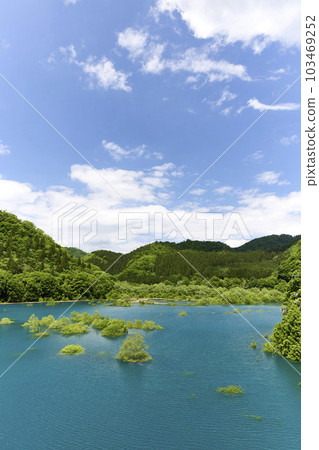 樹森湖沈水森林 樹森湖沈水森林 103469252