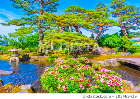 兼六園松曲水 兼六園松曲水 103469439