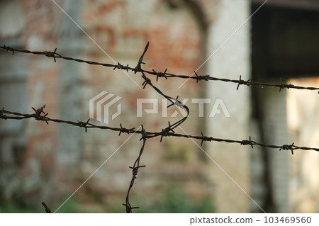 Silhouette of rusty barbed wire on blurred background 103469560