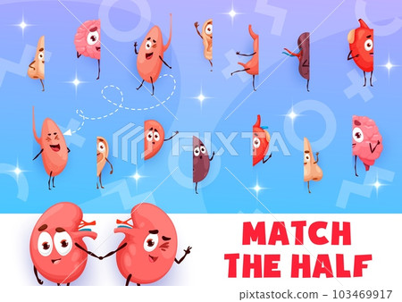 Match the half of cartoon human organ characters. Vector game worksheet with nose, brain, lungs and ear, stomach, spleen or heart. Find the correct piece of anatomical personages medical kids puzzle Match the half of cartoon human organ characters. Vector game worksheet with nose, brain, lungs and ear, stomach, spleen or heart. Find the correct piece of anatomical personages medical kids puzzle 103469917