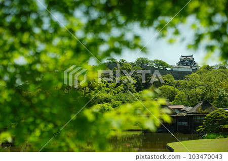 初夏的彥根城玄宮園(2022年4月) 初夏的彥根城玄宮園(2022年4月) 103470043