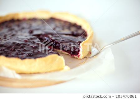 Sweet sliced cake with black currant 103470861