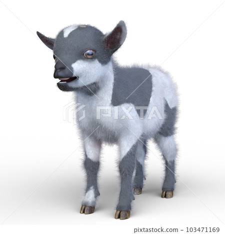 小山羊 小山羊 103471169