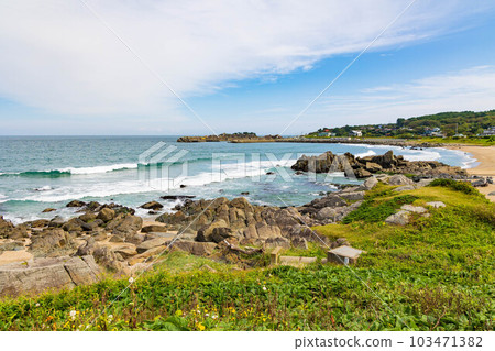Aichi Prefecture Hachinohe City Species Coast Aichi Prefecture Hachinohe City Species Coast 103471382