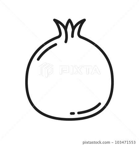 Pomegranate isolated summer fruit line icon. Vector forbidden fruit symbol of Rosh Hashanah, exotic healthy snack, juicy ripe pomegranate food 103471553