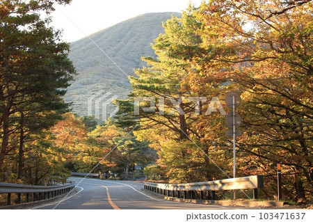 一條道路兩旁是秋葉 一條道路兩旁是秋葉 103471637