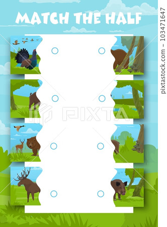 Match the half of forest hunting animals. Piece connect game, figure fragment search vector quiz or objects parts matching worksheet with grouse bird, grizzly bear, boar and elk, moose, deer, duck Match the half of forest hunting animals. Piece connect game, figure fragment search vector quiz or objects parts matching worksheet with grouse bird, grizzly bear, boar and elk, moose, deer, duck 103471647