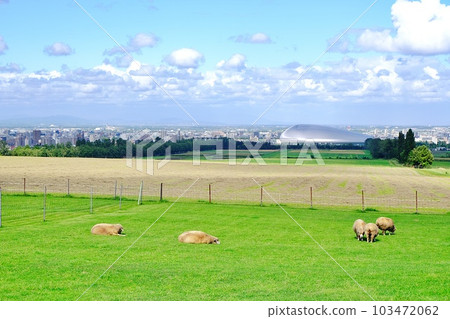 札幌羊之丘展望台的風景 札幌羊之丘展望台的風景 103472062
