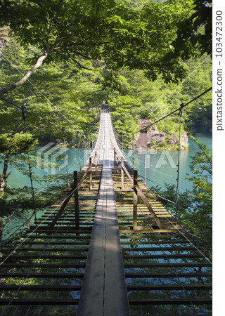 Fresh green sized gorge 103472300