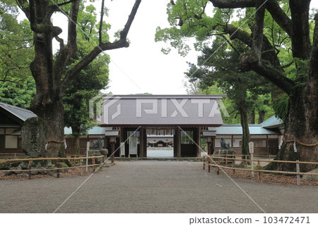 Great camphor tree, the sacred tree of Isono Shrine, and the hall of worship seen from the main gate Great camphor tree, the sacred tree of Isono Shrine, and the hall of worship seen from the main gate 103472471