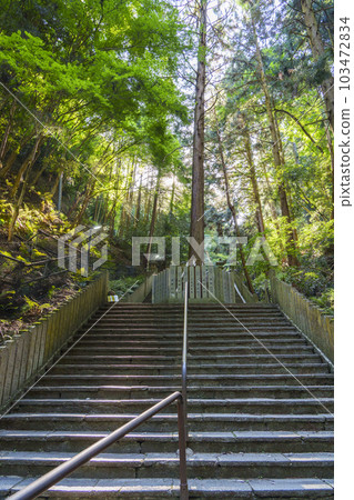 Tanukidaniyama Fudo-in Temple long stone staircase approach (Ichijoji, Sakyo Ward, Kyoto City) 103472834