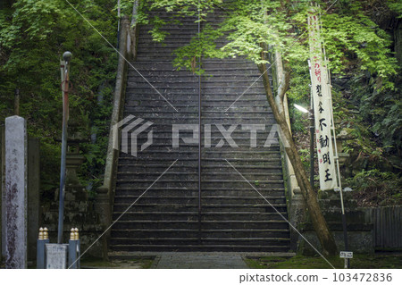 Tanukidaniyama Fudo-in Temple long stone staircase approach (Ichijoji, Sakyo Ward, Kyoto City) Tanukidaniyama Fudo-in Temple long stone staircase approach (Ichijoji, Sakyo Ward, Kyoto City) 103472836