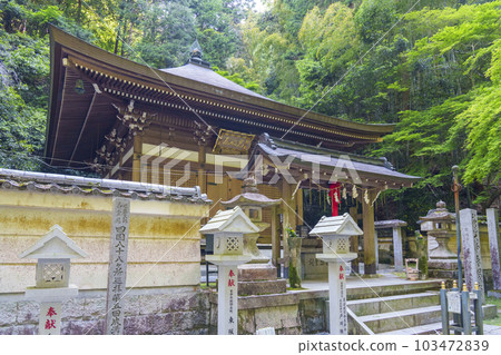 Tanukidaniyama Fudoin Kobo Daishi Komyoden (Ichijoji, Sakyo-ku, Kyoto) 103472839