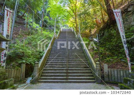 Tanukidaniyama Fudo-in Temple long stone staircase approach (Ichijoji, Sakyo Ward, Kyoto City) 103472840