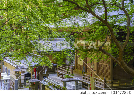 Tanukidaniyama Fudoin Kobo Daishi Komyoden (Ichijoji, Sakyo-ku, Kyoto) 103472898