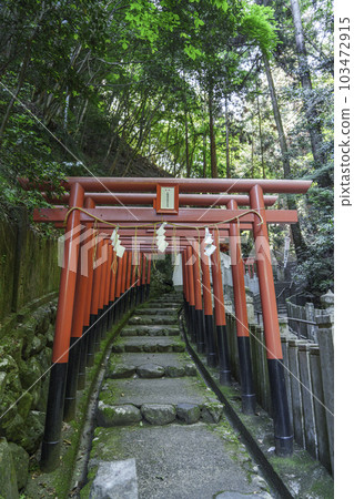 Tanukidaniyama Fudoin White Dragon Benzaiten (Ichijoji, Sakyo Ward, Kyoto City) 103472915