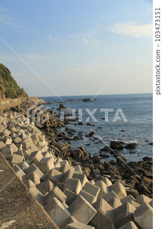 Landscape with tetrapods on the coast Landscape with tetrapods on the coast 103473151