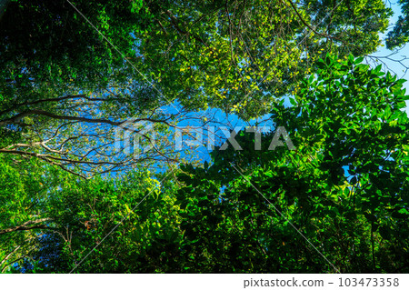 仰望藍天 仰望藍天 103473358