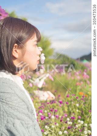 Woman sitting in cosmos field 103473516