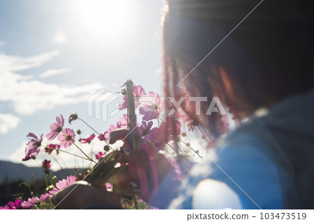 Back view of a woman holding cosmos in a cosmos field 103473519