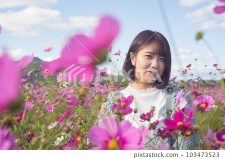 A woman standing in a cosmos field 103473523